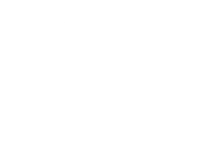 profissaonz